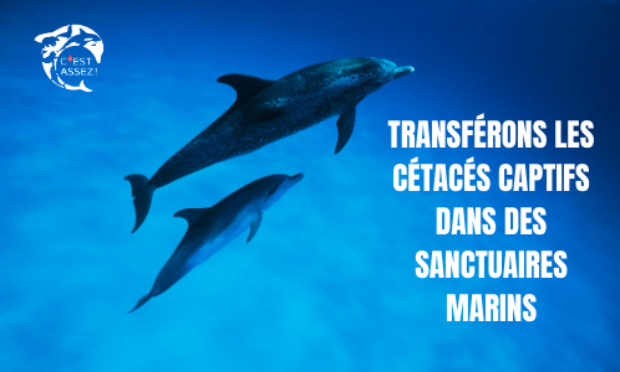 MADAME LA MINISTRE, INTERDISEZ LES TRANSFERTS DE C&Eacute;TAC&Eacute;S CAPTIFS VERS D&rsquo;AUTRES PRISONS MARINES !