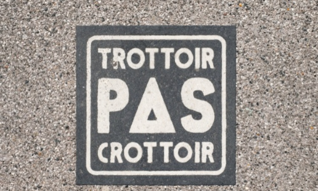 Stop aux déchets canins aux abords de nos écoles !