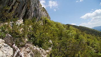 Simplifions les différents types de classements de protection de la nature et des territoires !