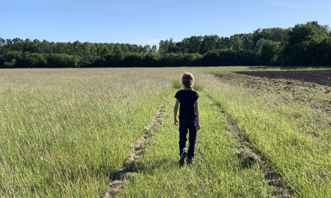 IEF : transparence sur les chiffres