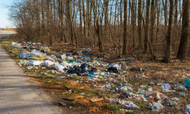 État bord de Départementale 6009