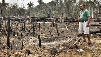 Brésil : mettez un carton rouge au pillage des terres !