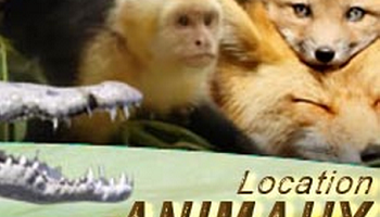 Pour l'interdiction de location d’animaux à des particuliers