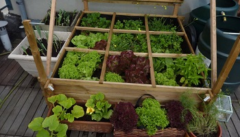 Sauvez le jardin du Bonheur des bulldozers !