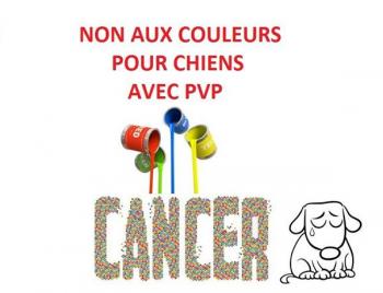 Cessons l’utilisation de colorations contenant du PVP !