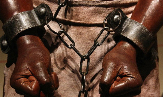 Création d'une Loi contre l'appellation 