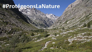 69 personnalités se mobilisent pour demander une vraie protection de la nature - Vous aussi soutenez cet appel !