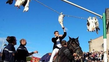 Odieuse Fête du cou de l'Oie : Mutation du préfet de l'Allier, démission du conseil municipal et du comité des fêtes d'Arfeuilles