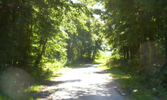 Pour accentuer les contrôles de vitesse et de comportement là où la faune est décimée