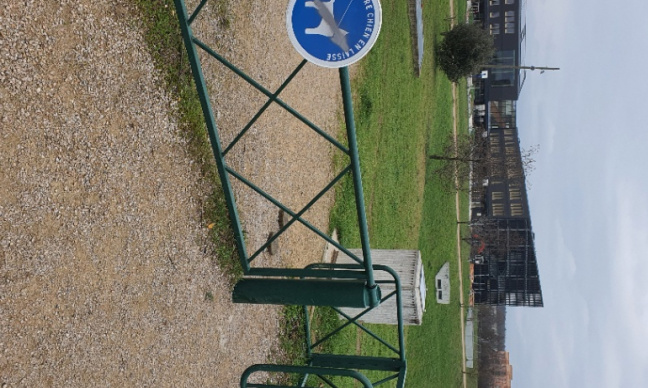 Mon amtaff est la victime et non l'agresseur pour le samoyède