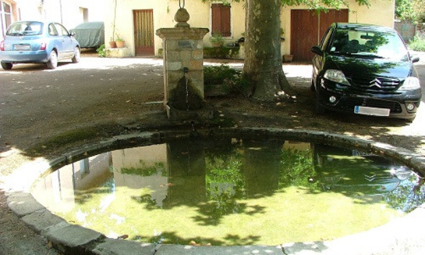 Sauvons la source de Saint-Amancet