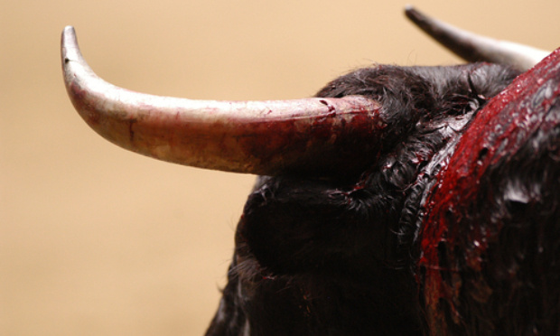 Stop aux écoles de tauromachie