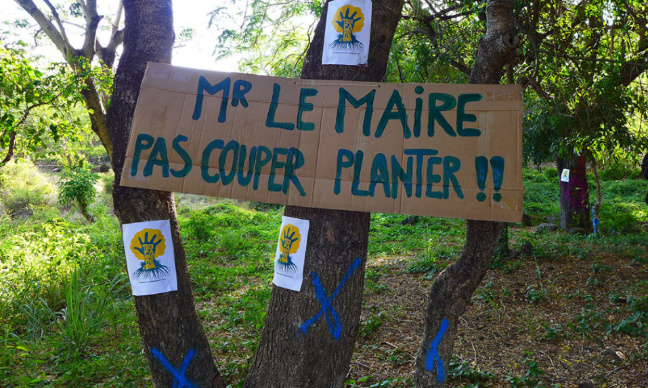 Non à l'abattage de la forêt de Casabona !