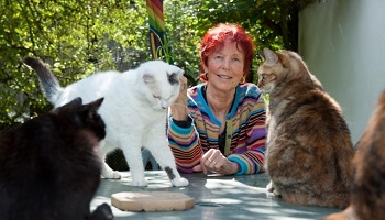 Nous demandons une nouvelle loi contre le commerce et la consommation de viande de chiens et chats en Suisse