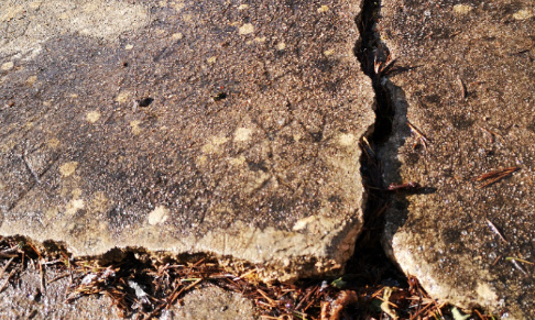 Arbre et responsabilité Grand Dijon
