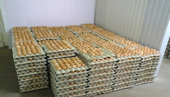 Arrêtons l'hygiénisme sanitaire qui tue les produits de qualité