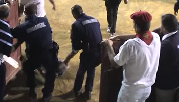 Violences à Maubourguet sur la manifestation anti-corrida : des sanctions à l’encontre des CRS !