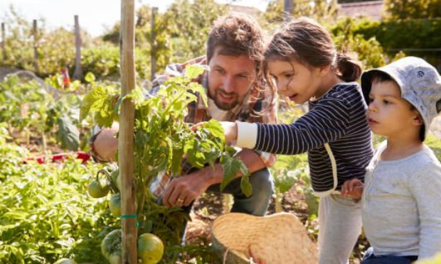 Soutien citoyen à une production alimentaire locale sur le territoire de Grand Lac / Projet Prés Nouveaux à Mouxy