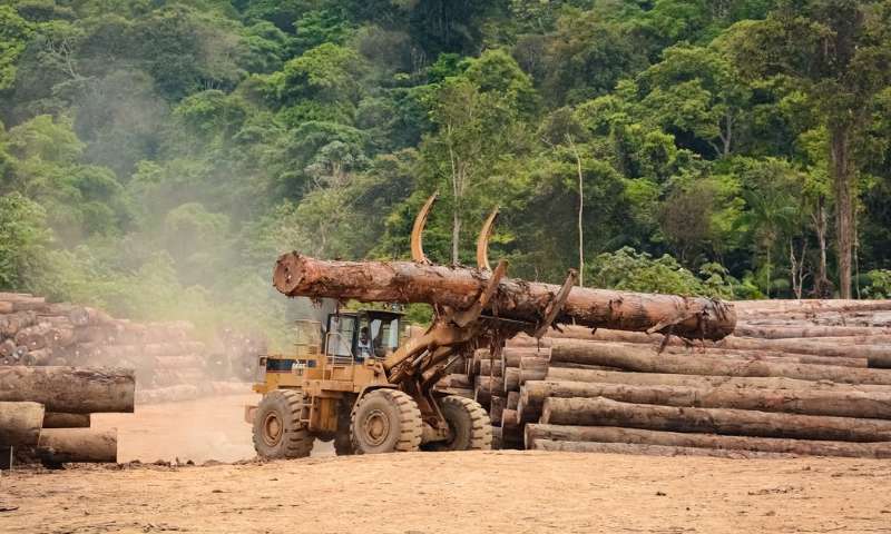 Signez pour refuser la déforestation de l’Amazonie