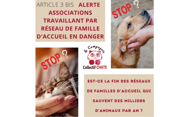 Les familles d’accueil sont en danger, les articles 3 bis et 4 doivent être modifiés par le Sénat