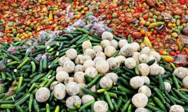 Respectons la loi sur le gaspillage alimentaire