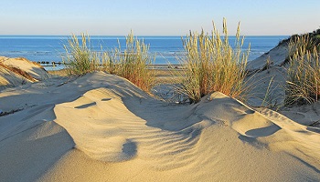 Non aux éoliennes en Médoc !