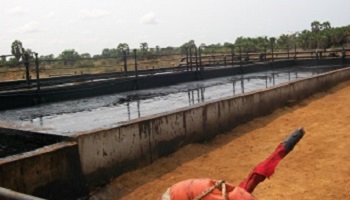 Enfer au pays de l'or noir