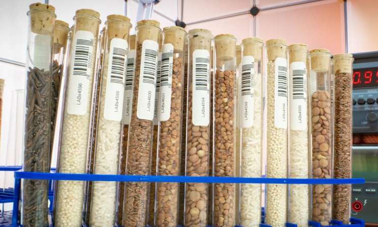 Pour sauver notre souveraineté alimentaire : luttons contre la privatisation des semences