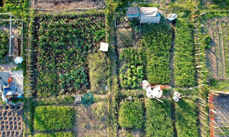 Faisons de nos villes des potagers à ciel ouvert