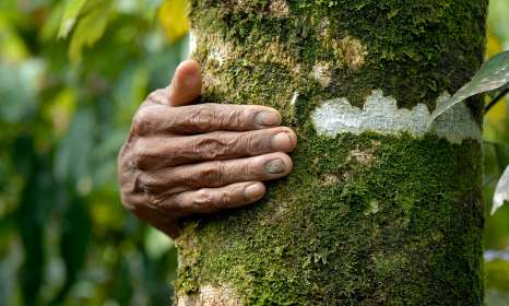 SIGNEZ POUR DÉNONCER LES ACCAPAREMENTS DE TERRES DES PAYSANS INDONÉSIENS !