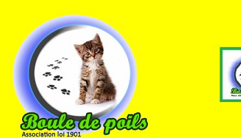 Subvention pour l'association Boule de Poils de Louviers !