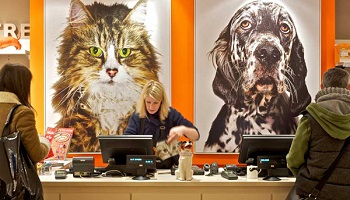 Pour que le magasin Moustaches puisse ouvrir le dimanche !