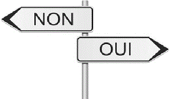 Soutenez l’ouverture d’un site de référendum en ligne