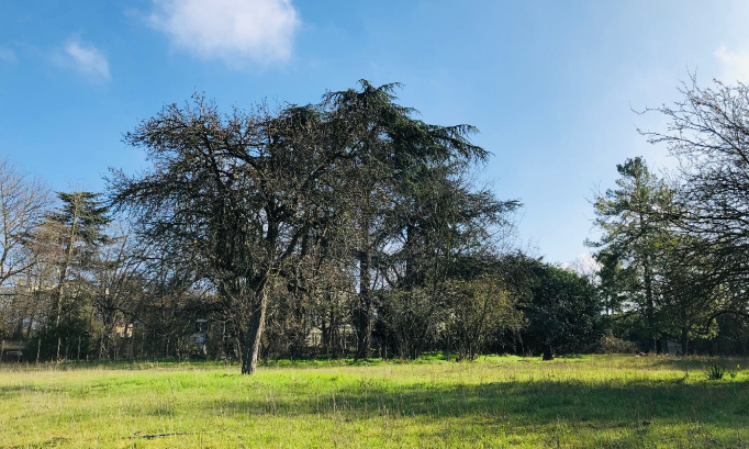 Préservons l'espace vert d'éco-pâturage - Avenue Jean Mermoz / Rue Molière : non au bétonnage !