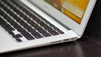 Non à la diffusion sur le web de maltraitance animale !