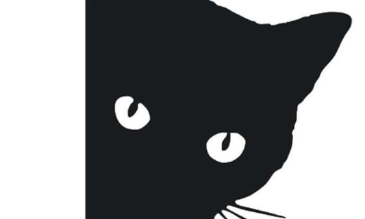 Interdire l'exp&eacute;rimentation du chat de Schr&ouml;dinger
