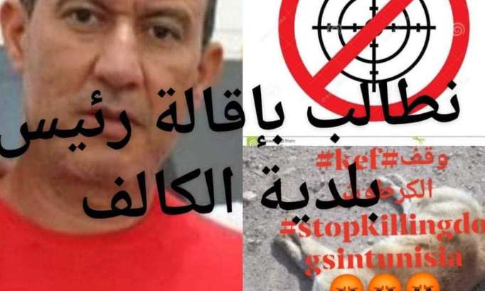 Nous exigeons la destitution du maire d'El Kef #Stop_Shipping