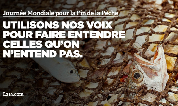 Pour la fin de la pêche