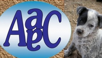 Pour l’arrêt des euthanasies illégales en Nouvelle-Calédonie !