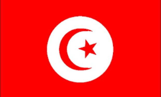 ÇA SUFFIT, LE PEUPLE TUNISIEN N’EN PEUT PLUS:UNE ACTION CITOYENNE MASSIVE ET PACIFIQUE EST LA SEULE ISSUE.