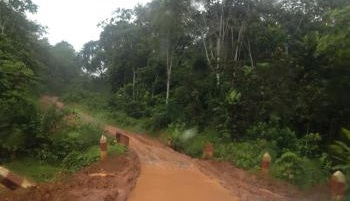 Urgence d'une voie à Yabassi ! Sauvons le Nkam de l’hécatombe des pluies !