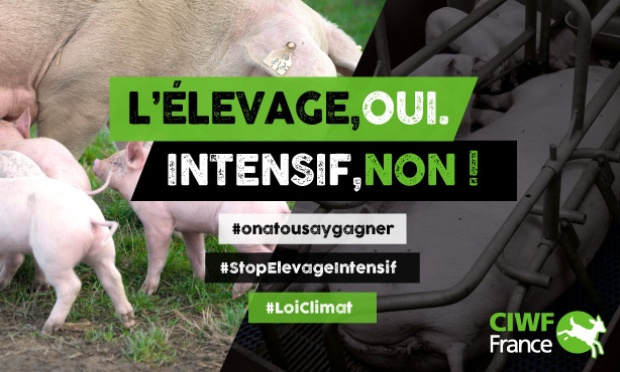 LOI CLIMAT ET RESILIENCE : ELEVAGE OUI, INTENSIF NON !