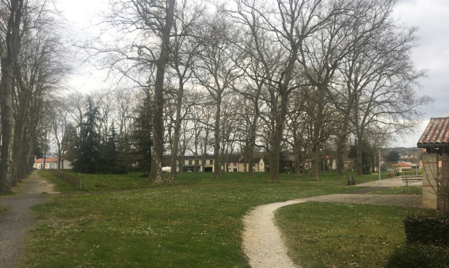 Urgence, ensemble sauvons les arbres et le parc du 