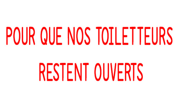 OUVERTURE DES SALONS DE TOILETTAGE