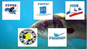 Non au quota pêche loisir  de 1 bar (loup) par jour !