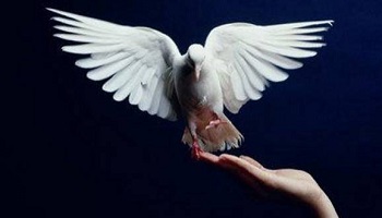 Pour la paix civile en France !