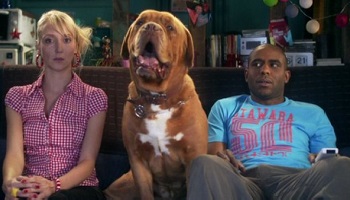 Non aux animaux montrés comme des objets dans la série Scènes de Ménages !