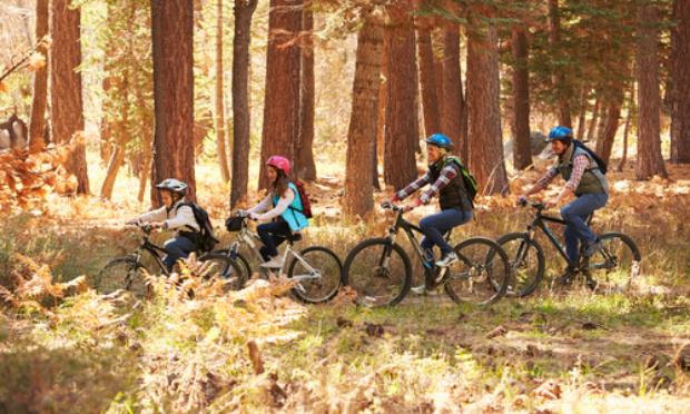 Chasse : pour la sécurité, le partage et le respect de la nature !
