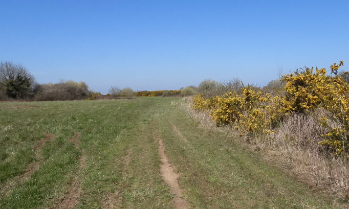 Stop à la bétonisation excessive de nos territoires. Non au projet Sur l'ancien aéroport de Saint Brieuc situé aux Plaines Villes à Ploufragan