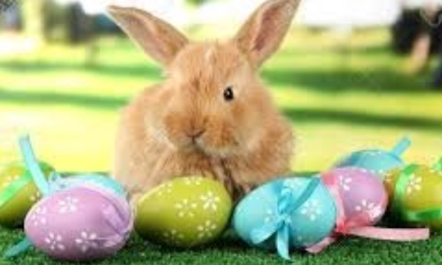 Ensemble, disons NON à l’annulation du repas de Pâques !!!